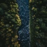 tom ohlin fexfdfmxnmu unsplash